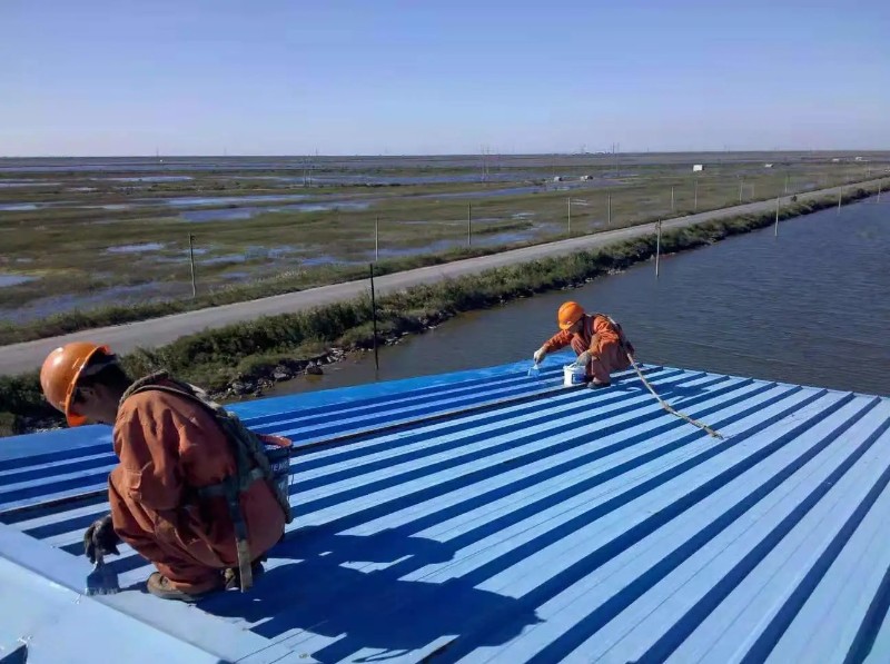 阳谷彩钢瓦屋面防腐翻新